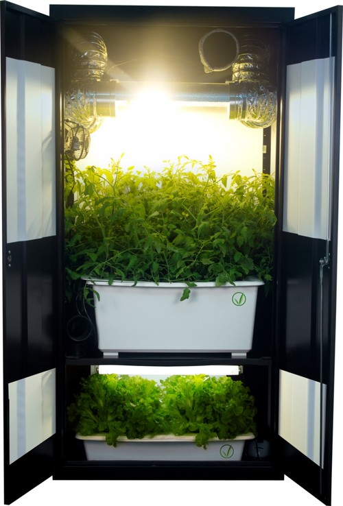 Grow tent box