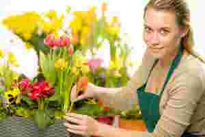 flower arrangement werribee