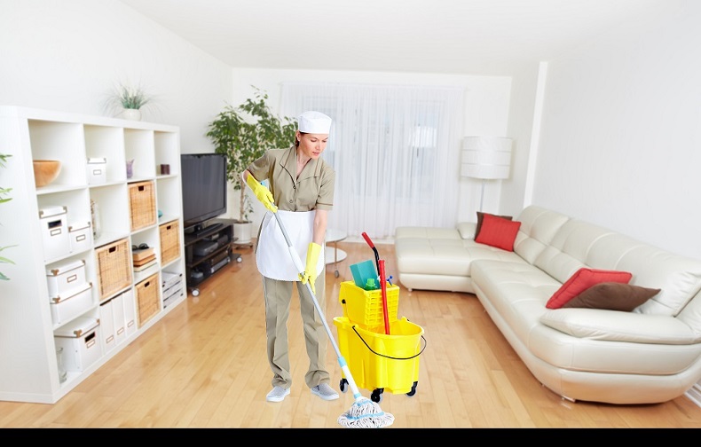 Professional Cleaner