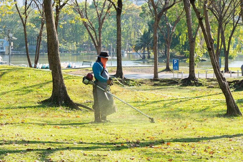 Brushcutter